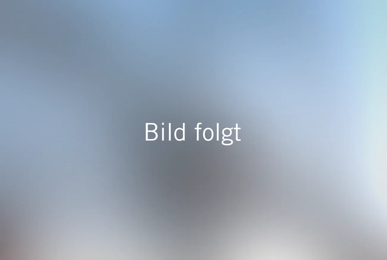 Bild folgt